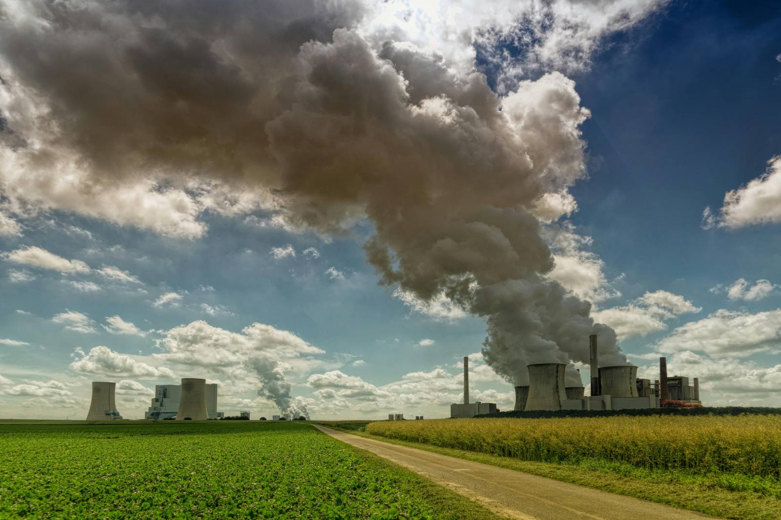 Dispositif Girardin agricole ou Girardin industriel ? Comparaison entre ces deux dispositifs fiscaux performants en 2026 à Toulouse