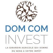 LODEOM / Girardin industriel France entière DOM COM Invest