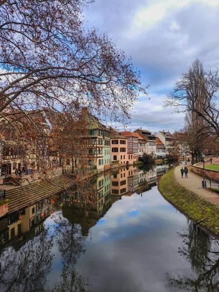 Quels sont les différents régimes fiscaux et les avantages du statut LMNP (Loueur Meublé Non Professionnel) à Toulouse ?